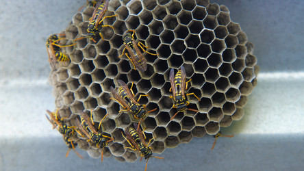 Similar image 21474824