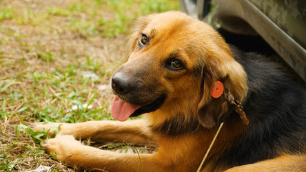 Similar image 21474825