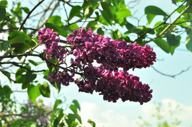 Similar image 21474841