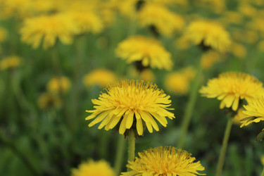 Similar image 21477073