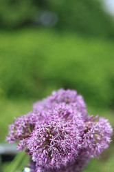 Similar image 21476714