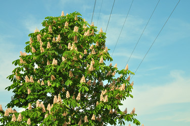 Similar image 21477541