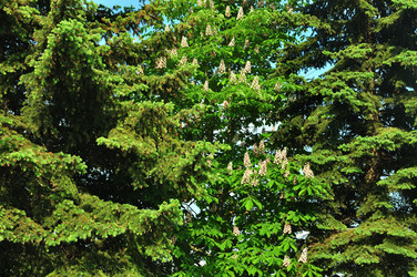 Similar image 21474860