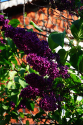 Similar image 21477259