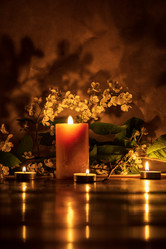 Similar image 21474862