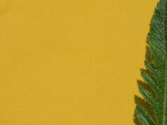 Similar image 21474138