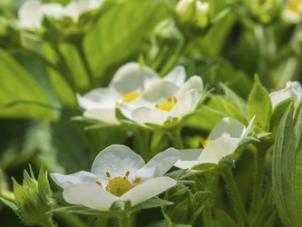 Similar image 21474139