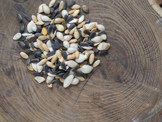 Similar image 21474141