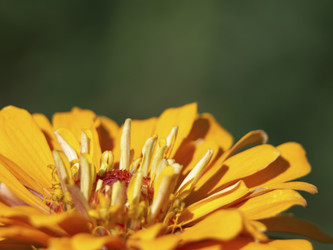 Similar image 21474144