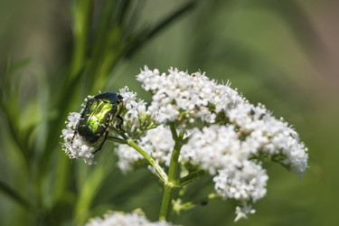 Similar image 21474146