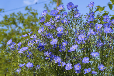 Similar image 21474147