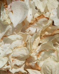 Similar image 21474150