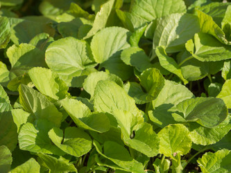 Similar image 21474152