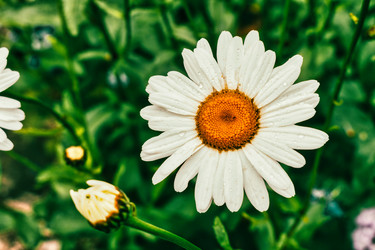 Similar image 21479021