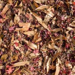 Similar image 21474872