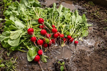 Similar image 21474874