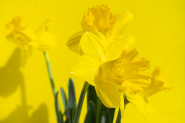 Similar image 21474877