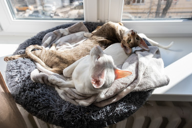 Similar image 21474878