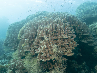 Similar image 21474879