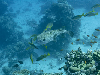 Similar image 21474880