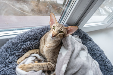 Similar image 21474885