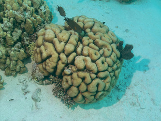 Similar image 21474887