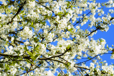 Similar image 21474890