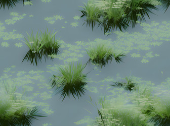 Similar image 21476295