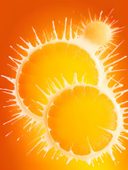 Similar image 21482293