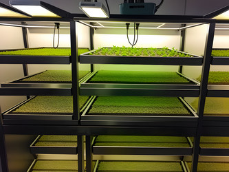 Similar image 21480867