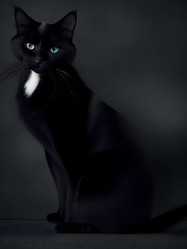 Similar image 21482354