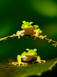 Similar image 21482409