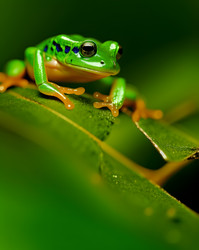 Similar image 21480109