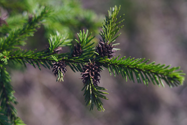 Similar image 21476841