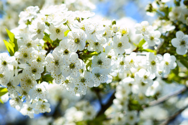 Similar image 21476842