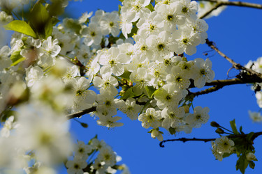 Similar image 21476843