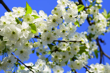 Similar image 21476844