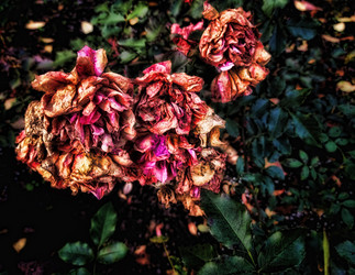 Similar image 21476719