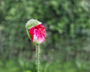 Similar image 21476720