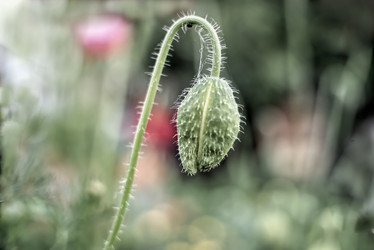 Similar image 21476721