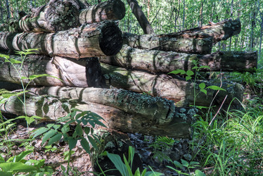 Similar image 21476722