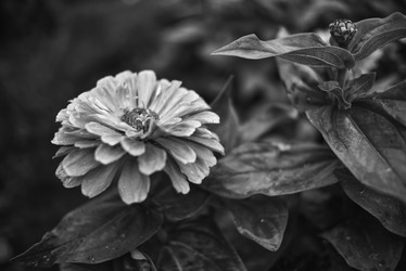 Similar image 21476723