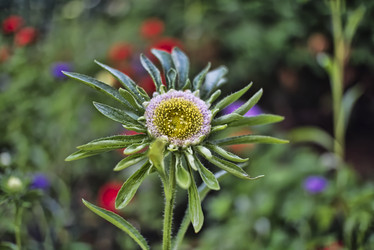 Similar image 21476888