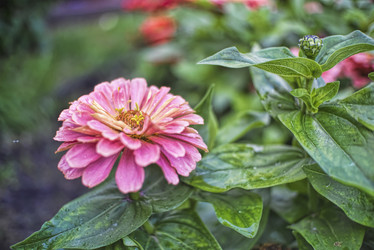 Similar image 21476889