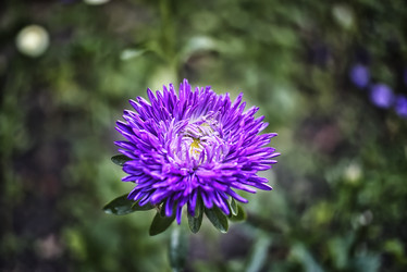 Similar image 21476890