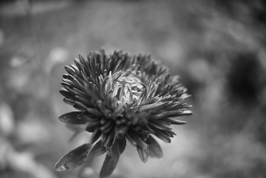 Similar image 21476891