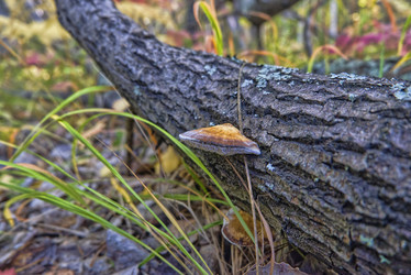 Similar image 21476892