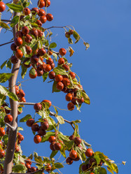 Similar image 21476428