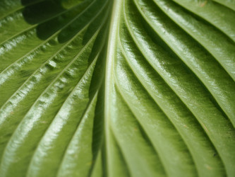 Similar image 21476429