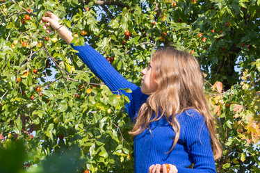 Similar image 21476430